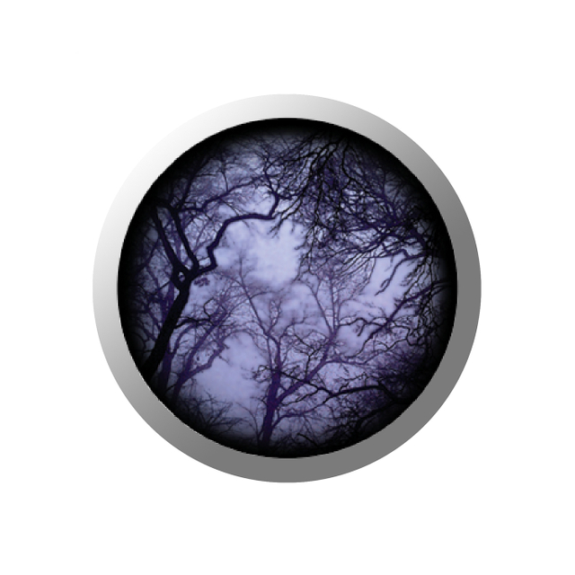 Gobos & Cloud Branches Gobo WS11 - COLIFINE
