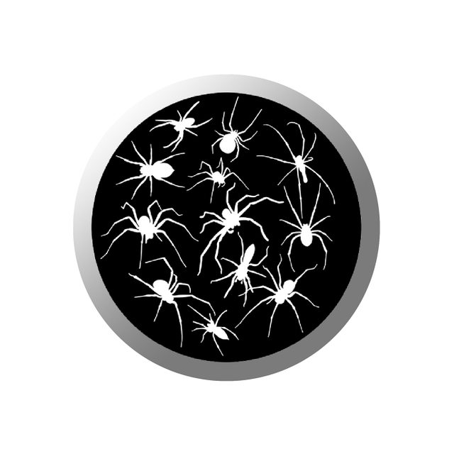 Glass Gobo & Crawling Spiders Gobo WS13 - COLIFINE