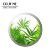 COLIFINE Custom Gobo Personalised Gobo Nature Gobo Trees Gobo SM36