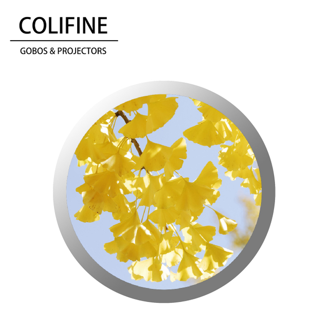 COLIFINE Custom Gobo Logo Projector Gobo Light Projector Nature Gobo Trees Gobo SM32