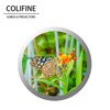 COLIFINE Custom Gobo Projection Lens Logo Projector Gobo Projector Nature Gobo Butterfly Gobo SM29