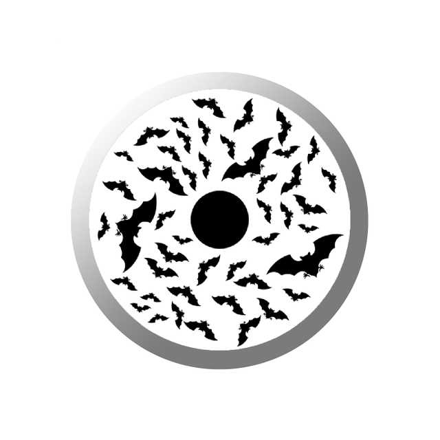 Glass Gobo & Flying Bats Rotating Gobo WS15 - COLIFINE